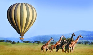 serengeti_balloon